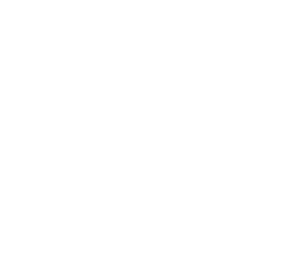 nspyr1-2
